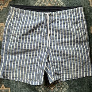 Striped Blue and White Men's Swim Shorts